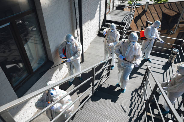 Best Comprehensive Air Testing for Mold Contaminants  in Brea, CA