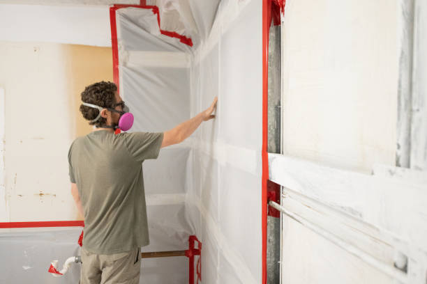 Professional Mold Removal in Brea, CA